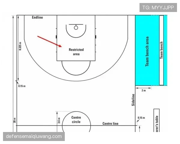盘点NBA与FIBA罚球规则的主要差异，看完这篇你就懂了